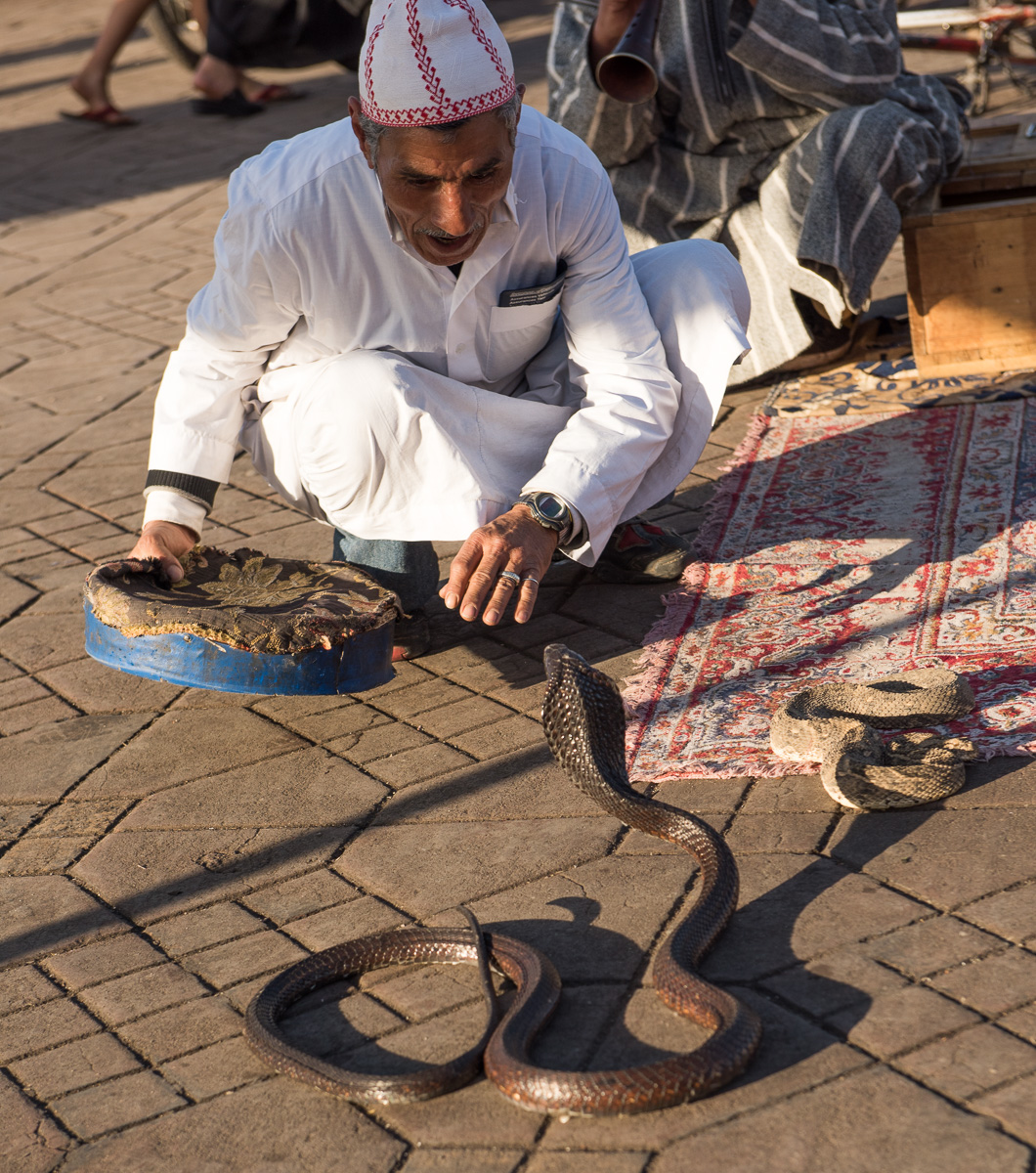 Jemaa el-Fna Square: snake charmer with his cobra and other snakes 