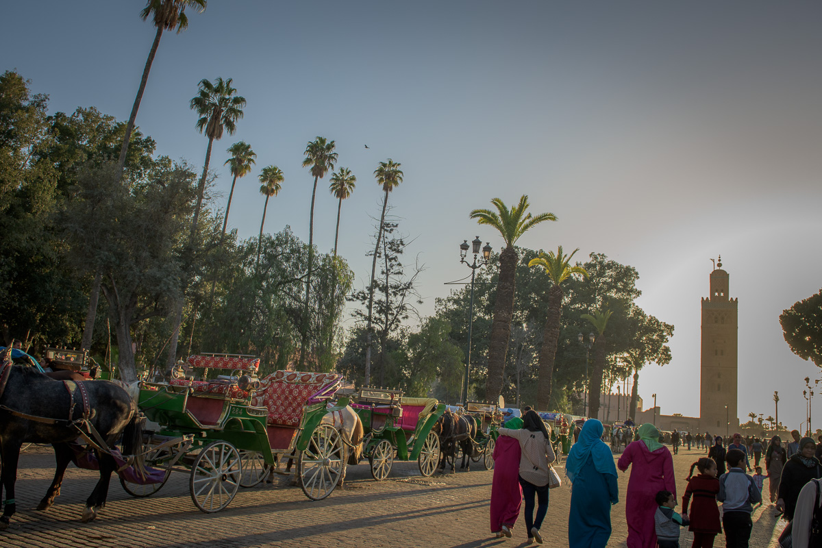 Jemaa el-Fna Square: carriages lined up to carry visitors exiting the famous urban center