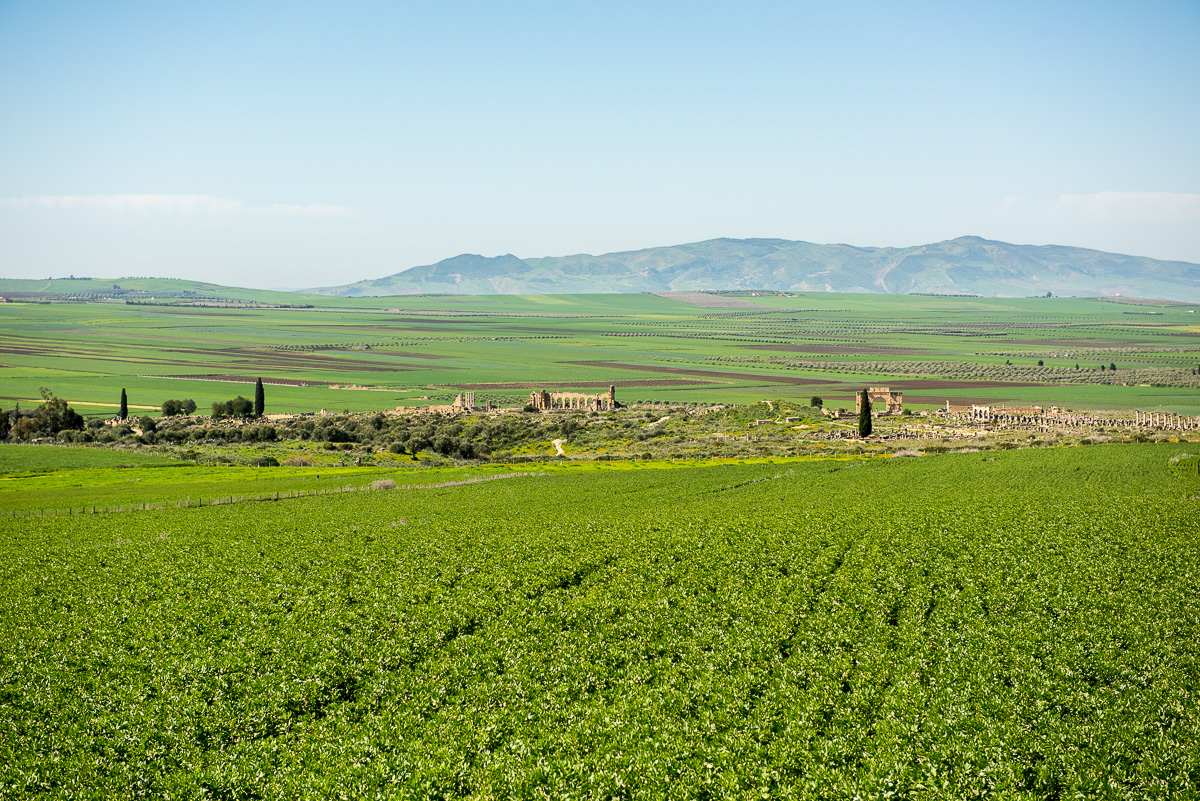 Roman ruins amongst the agricultural landscape