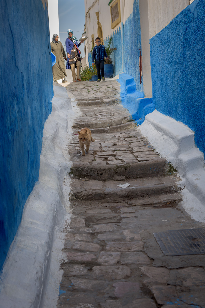 Alleyway in the ancient city of Rabat